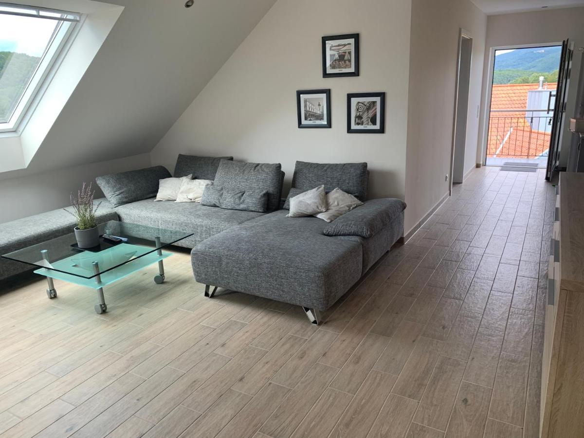 Freiraum Apartment Анвайлер ам Трифелс Екстериор снимка
