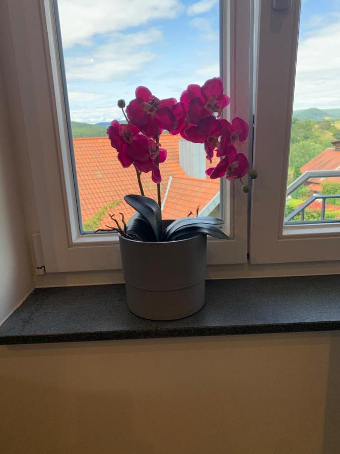 Freiraum Apartment Анвайлер ам Трифелс Екстериор снимка