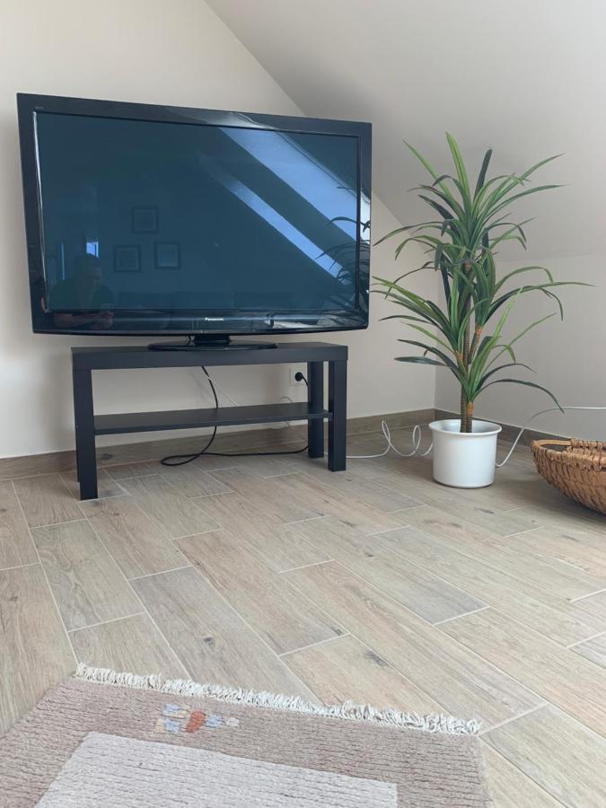 Freiraum Apartment Анвайлер ам Трифелс Екстериор снимка